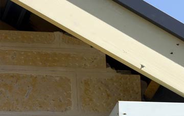 soffit repair Chipping Warden